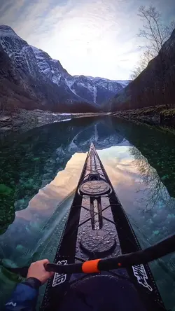10 video or picture 