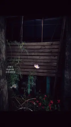 1 ẢNH LYRICS+MÀU