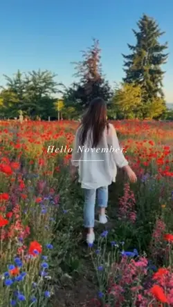HELLO NOV