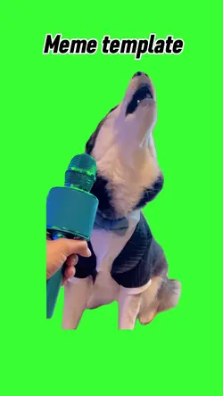 Dog singing 