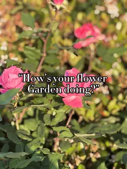 Flower Garden 🌸🌺🌼