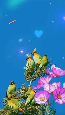ទេសភាពស្រះស្រង់