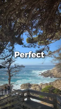 Perfect - Shiki 