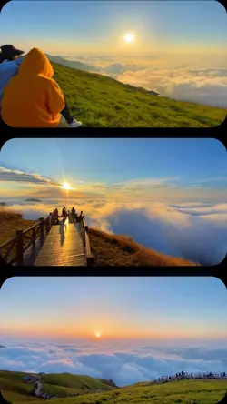 trend template 
