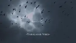 yaralasar kitap