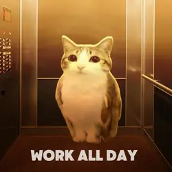 work all day