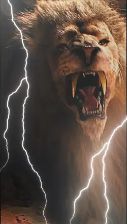 le Roi Lion