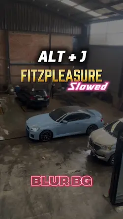 Fitzpleasure BLUR BG