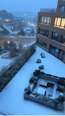 Il pleut blanc 🌨️ 