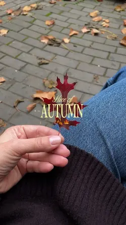 Slice of Autumn