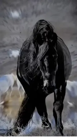 Chevaux