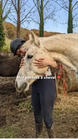 Mes phrases à cheval