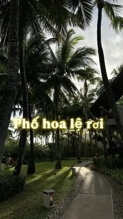 Phố hoa lệ rơi 