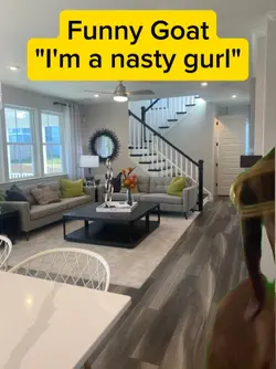 funny goat