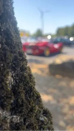 Ferrari 330 p4
