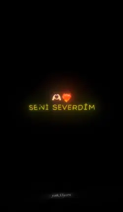 seni severdim