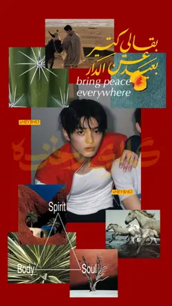 arabian moodboard