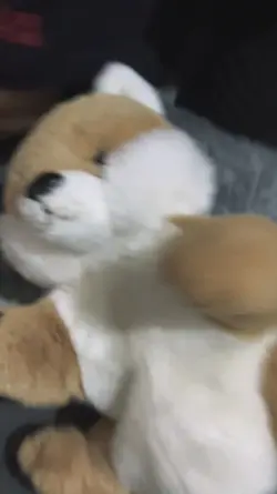 random video