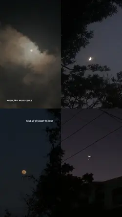 who loves moon