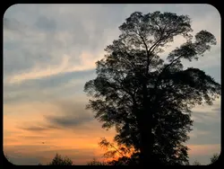 peaceful 