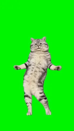 Dancing Cat Meme