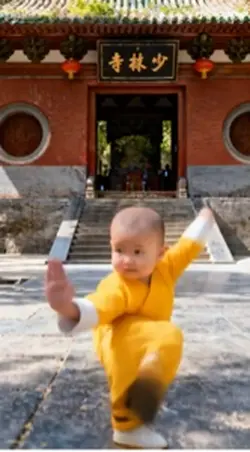 Shaolin Kungfu AI