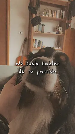 Día de muertos