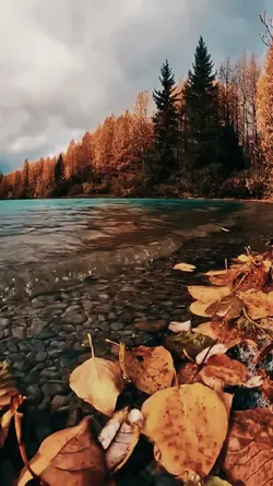 FALL IS COOL