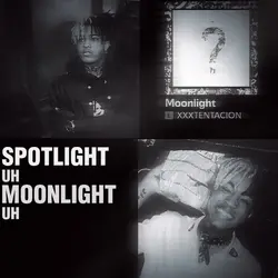 moonlight