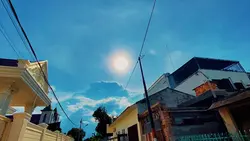 Sound Vibes