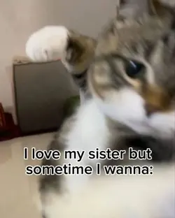 but sometime i wanna