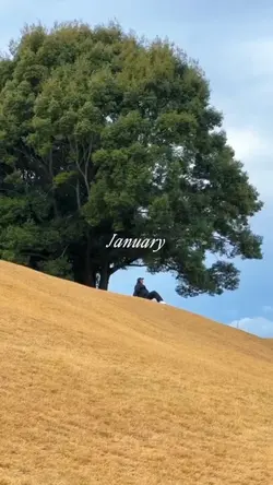 January Dump 