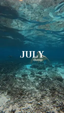 July dump 
