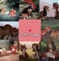 Todd & Copper 