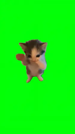 CAT SCUBA SCUBA