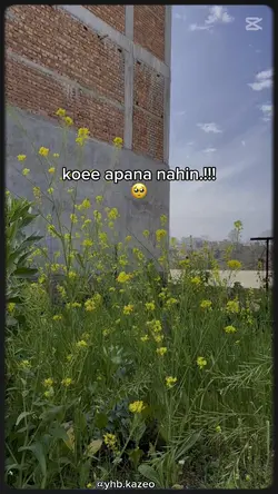 koee apana nahin