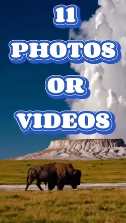 11 Photos Or Videos 