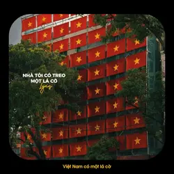Việt Nam có 1 lá cờ🇻🇳