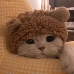 눈 코 입