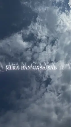 Tu hi mera 