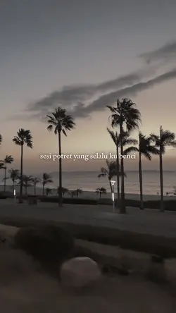 sesi potret 12 video