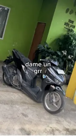 trend grrr