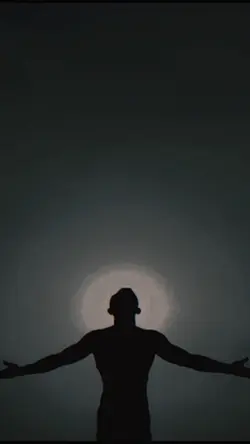 Fly