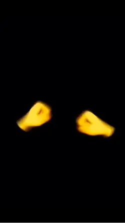 Emoji likes you 4