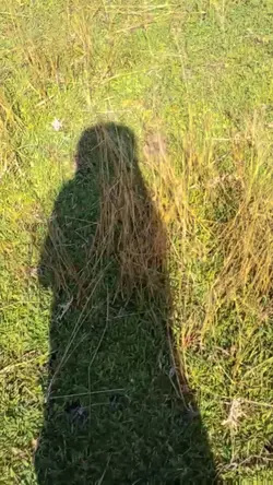 background music 