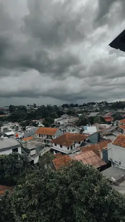 BUNGA MAAF