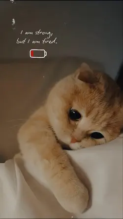 I am tired