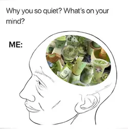 trending matcha