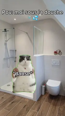 Histoire douche