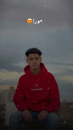 الصوت في التيك توك
